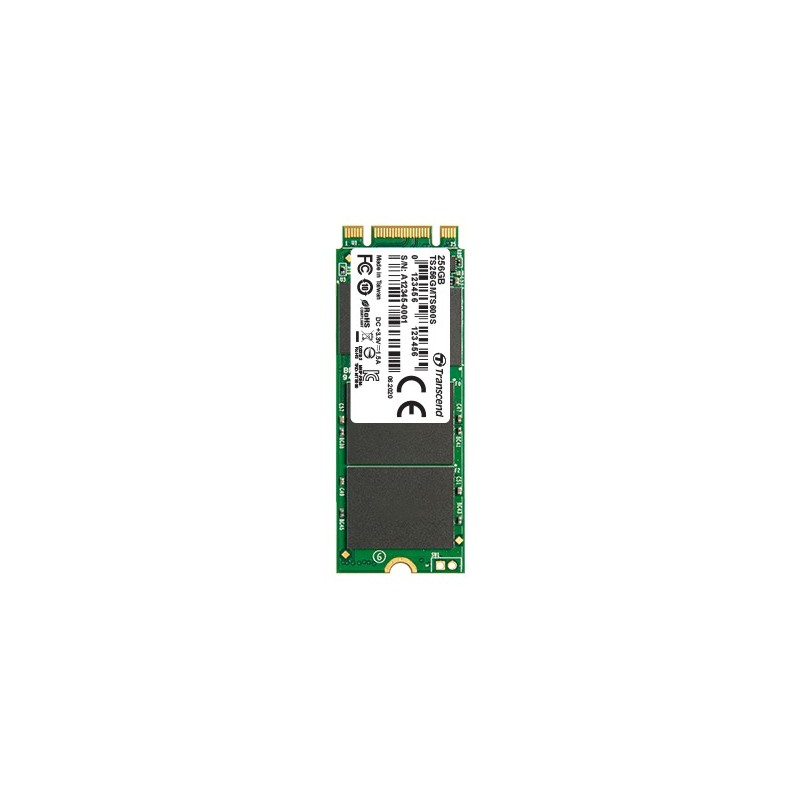 MTS600S - SSD - 256 GB - intern - M.2 2260